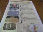 20100409-hideji-08.jpg