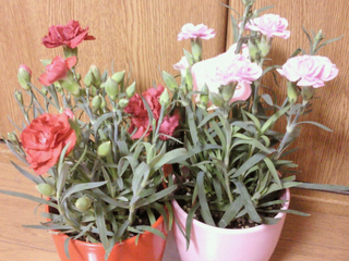 2011050723190000-1.jpg