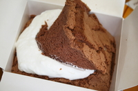 oshikawa2010-03.jpg