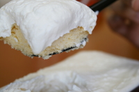 oshikawa2010-06.jpg