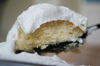 oshikawa2010-07.jpg