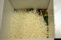yodaraji277-05.jpg